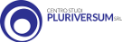 Pluriversum